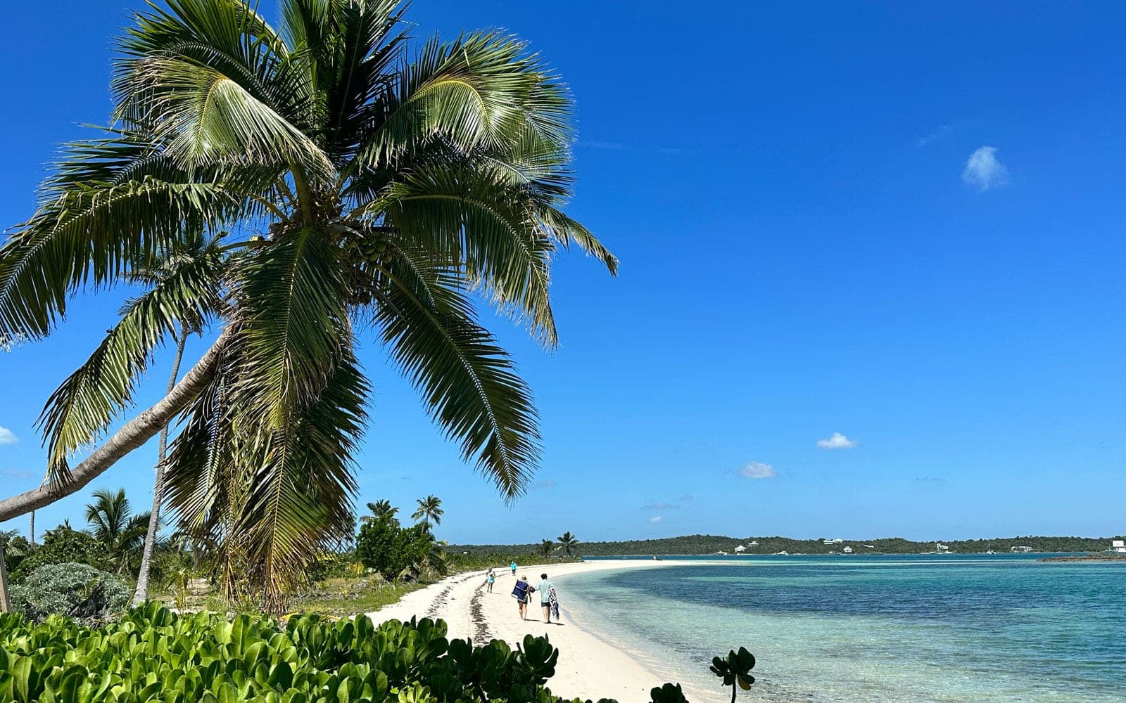 A palm-lined walk along world-famous Tahiti Beach on Elbow Cay