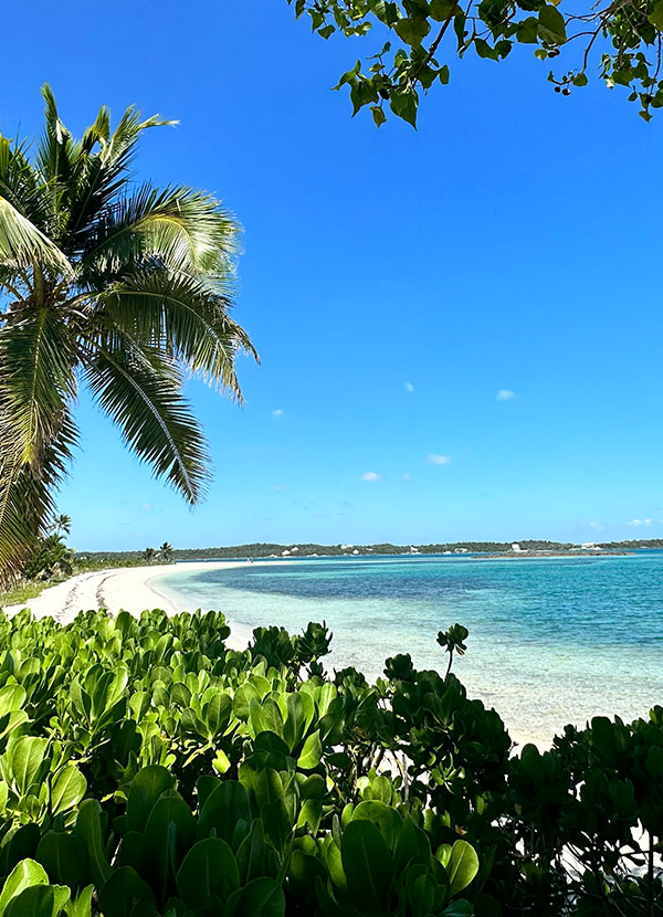 Catch A Wave Side Pool View